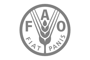 Logo of The FAO
